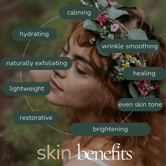 Botanical Lift Face Serum - Moisturizer - Cascadia Skincare