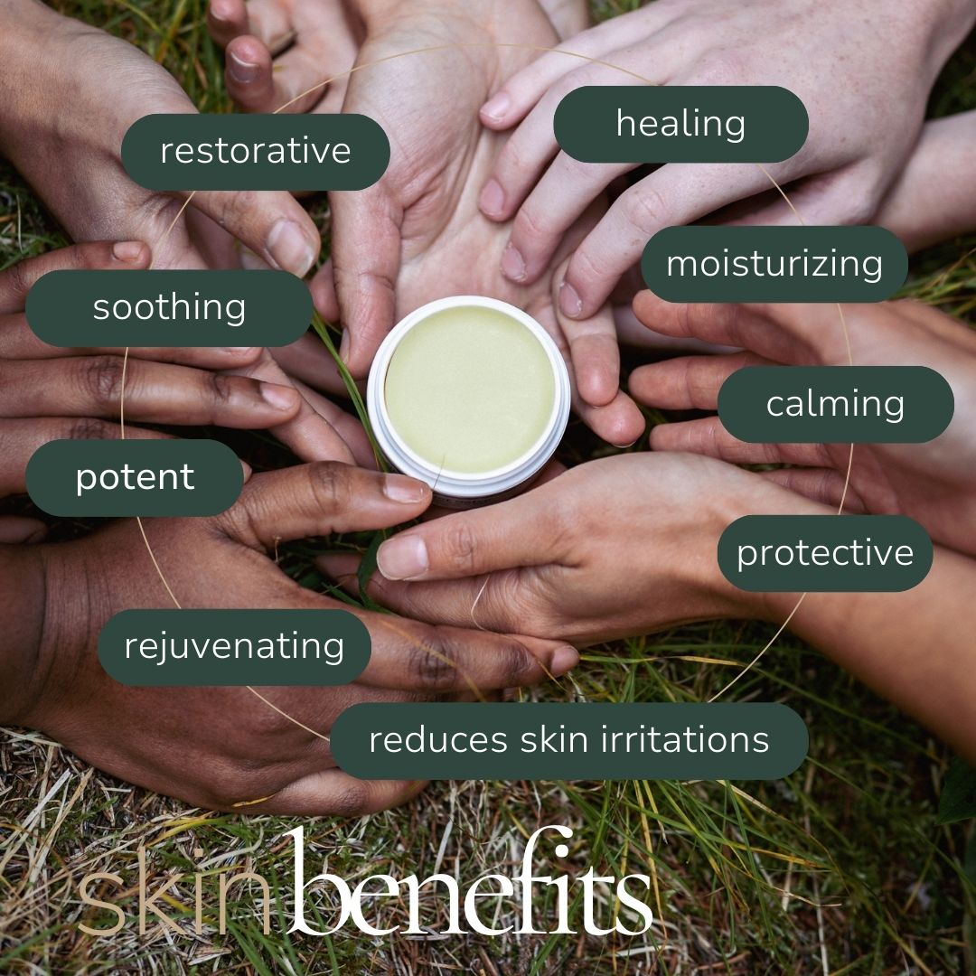 Calendula Skin Relief Salve - Balm & Salve - Cascadia Skincare