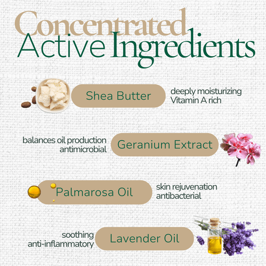 Liposomes Daily Moisturizer - Moisturizer - Cascadia Skincare