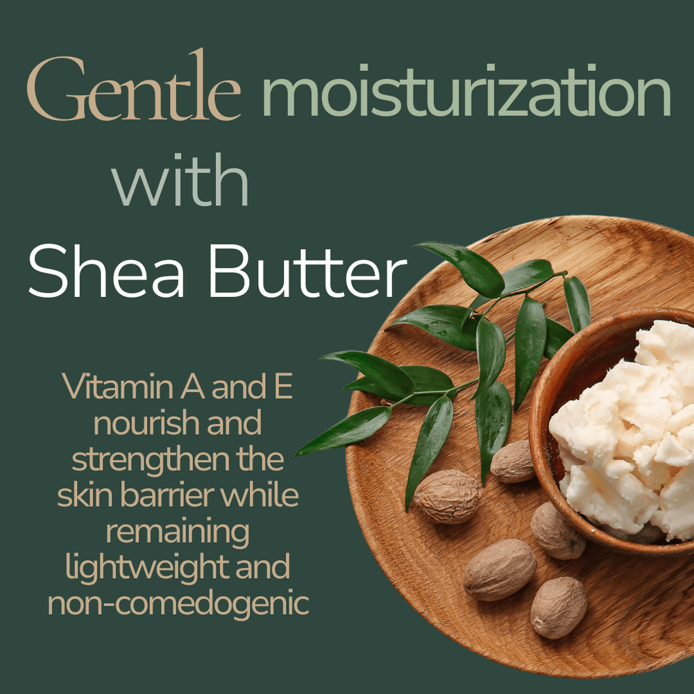 Liposomes Daily Moisturizer - Moisturizer - Cascadia Skincare