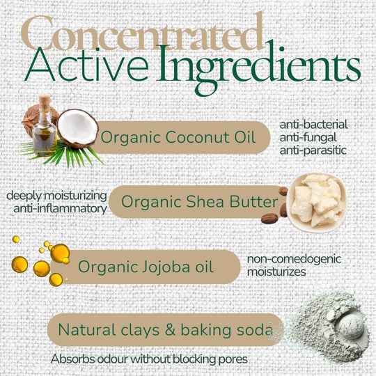 Natural Deodorant - Deodorant - Cascadia Skincare