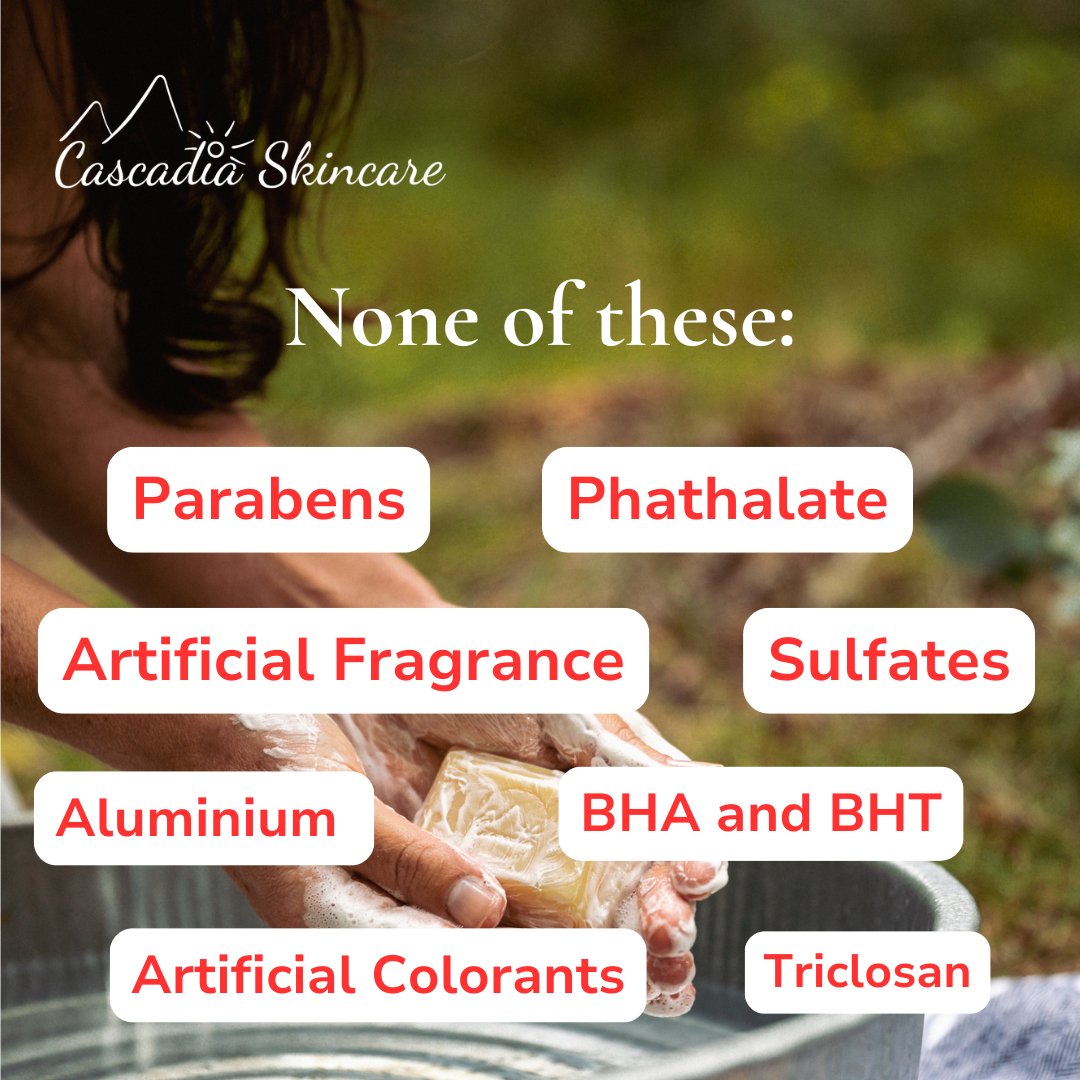 Hormone-Disrupting Chemicals in Skincare: What We Need to Know - Cascadia Skincare