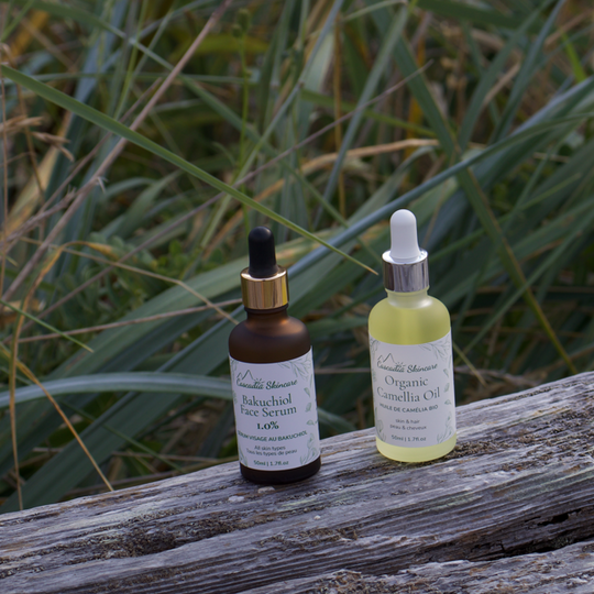 Organic Camellia Oil