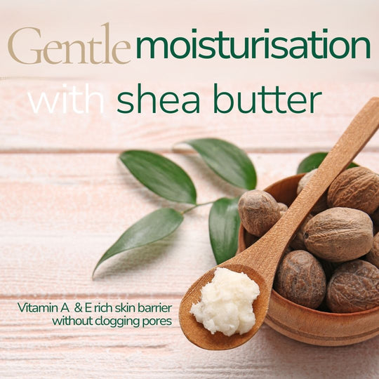 Shea Face Lotion | 50ml