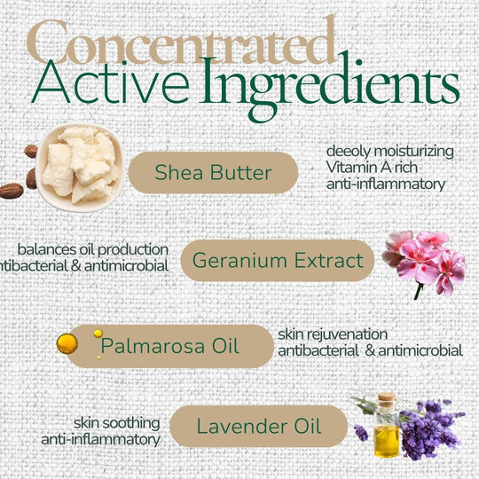 Shea Face Lotion | 50ml