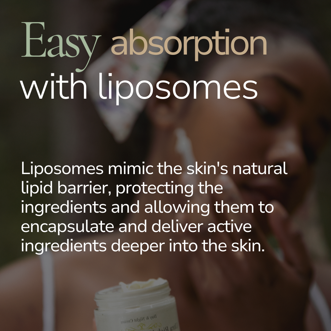 Nourishing Shea Face Cream | 60ml