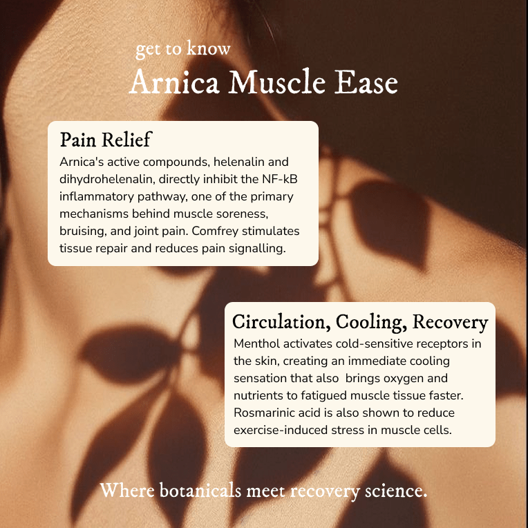 Arnica Massage Balm - Balm & Salve - Cascadia Skincare