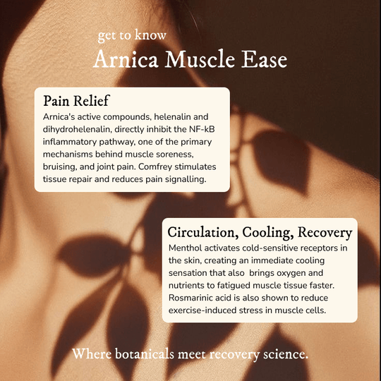 Arnica Massage Balm - Balm & Salve - Cascadia Skincare