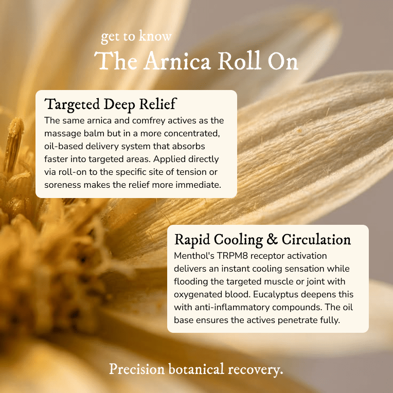 Arnica Muscle Ease Roll On (Extra Strength) - Balm & Salve - Cascadia Skincare