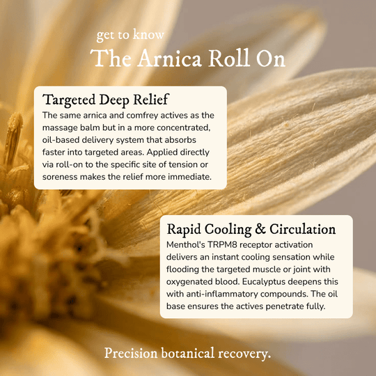 Arnica Muscle Ease Roll On (Extra Strength) - Balm & Salve - Cascadia Skincare