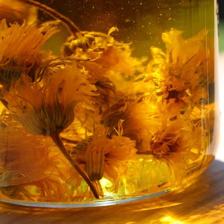 Calendula Skin Relief Salve - Balm & Salve - Cascadia Skincare