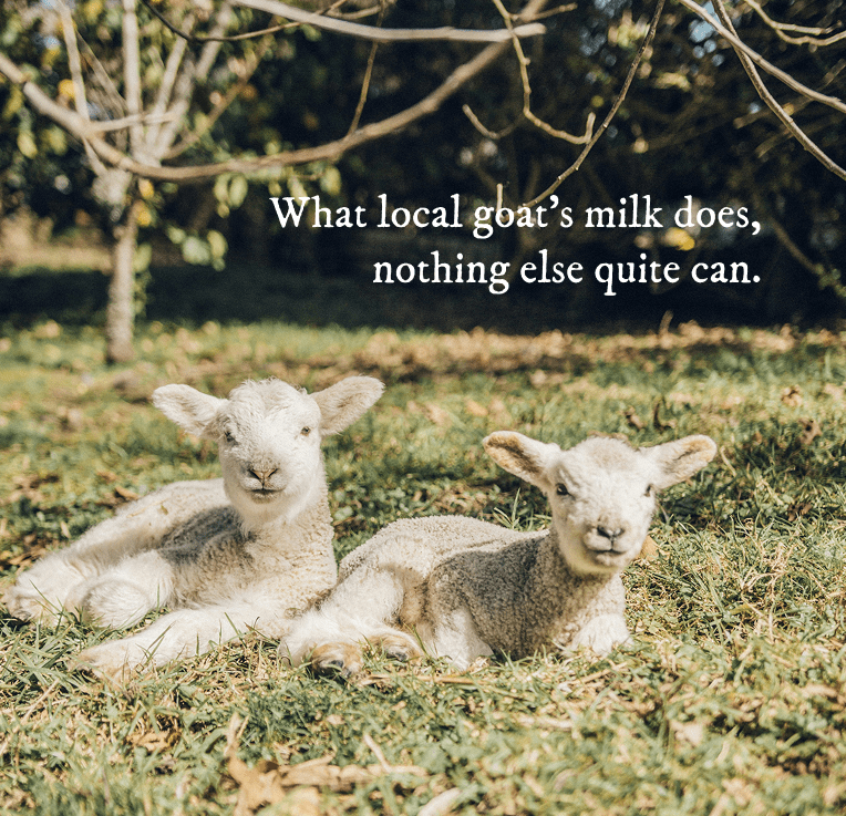 Goat Milk Soap Bars - Goat Milk Soap - Cascadia Skincare