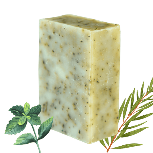 🎁 Herbal Soap (Vegan) (100% off) - Cascadia Skincare