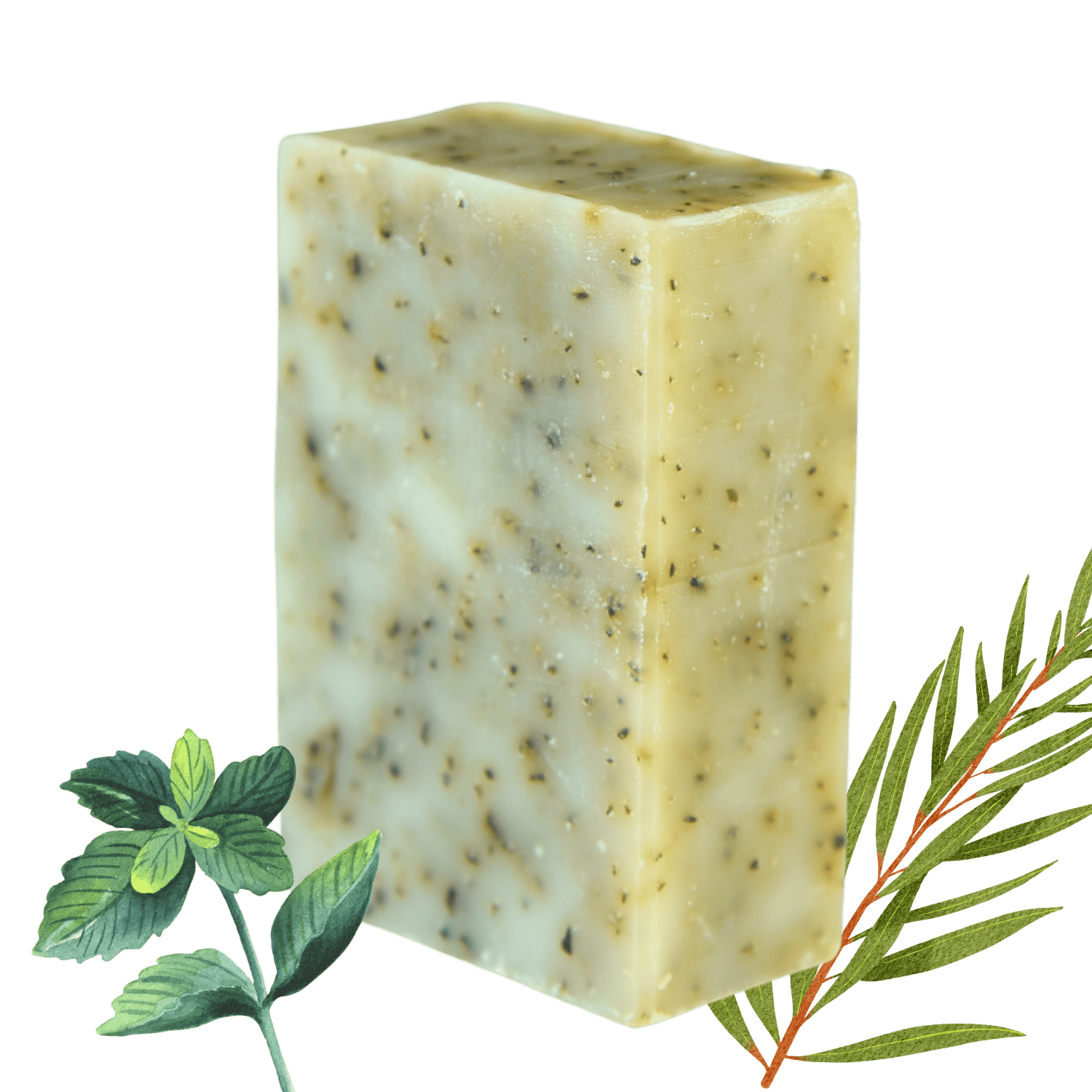 Herbal Soap (Vegan) - Vegan Soap - Cascadia Skincare