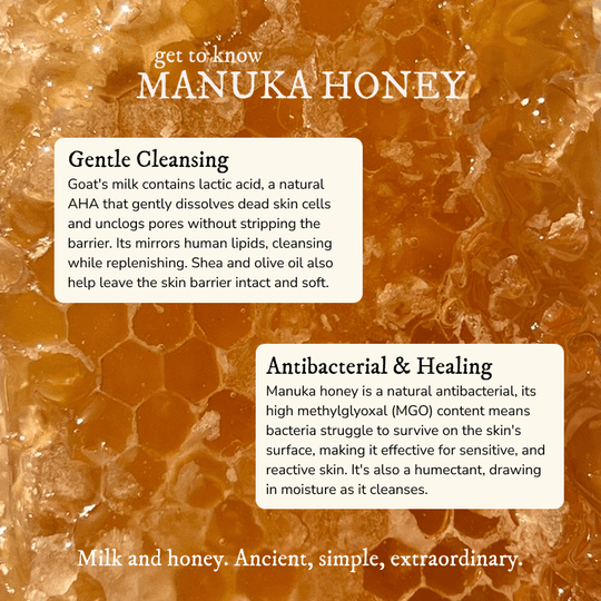 Manuka Honey Cleanser - Goat Milk Soap - Cascadia Skincare