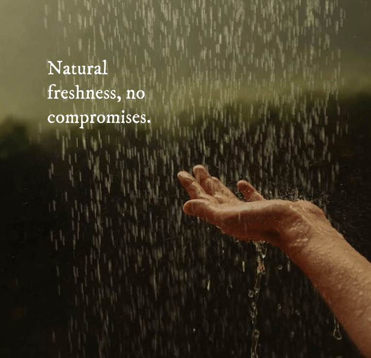 Natural Deodorant - Deodorant - Cascadia Skincare