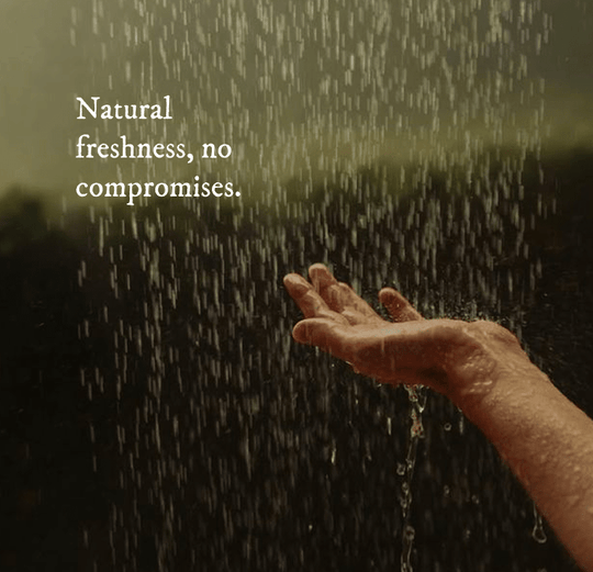 Natural Deodorant - Deodorant - Cascadia Skincare