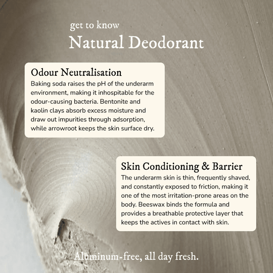 Natural Deodorant - Deodorant - Cascadia Skincare