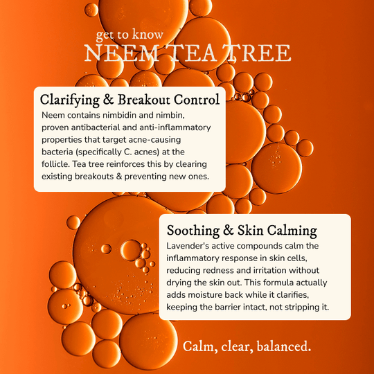 Neem & Tea Tree Clarifying Oil - Face Oil - Cascadia Skincare