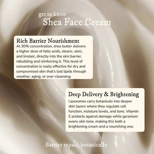 Nourishing Shea Face Cream - Face Moisturizer - Cascadia Skincare