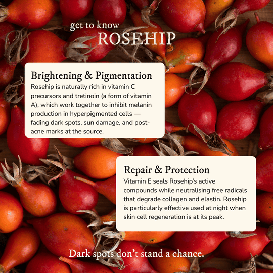 Organic Rosehip Oil - Face Oil - Cascadia Skincare