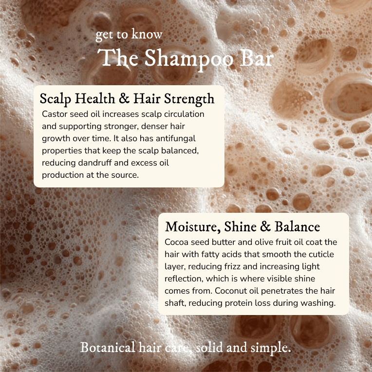 Shampoo Bar - Shampoo - Cascadia Skincare
