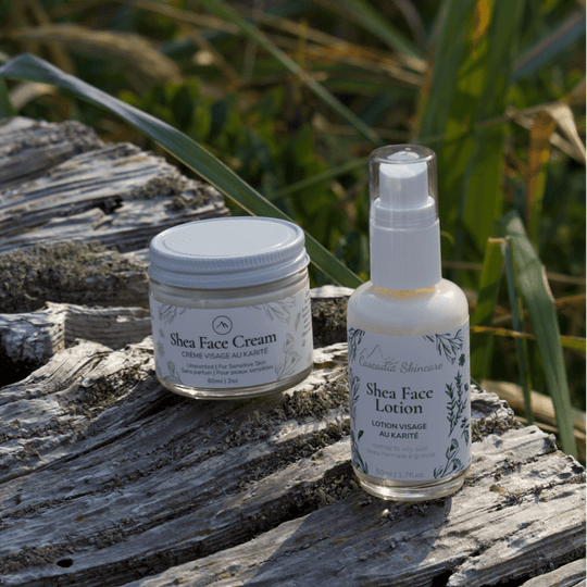 Shea Face Cream - Face Moisturizer - Cascadia Skincare