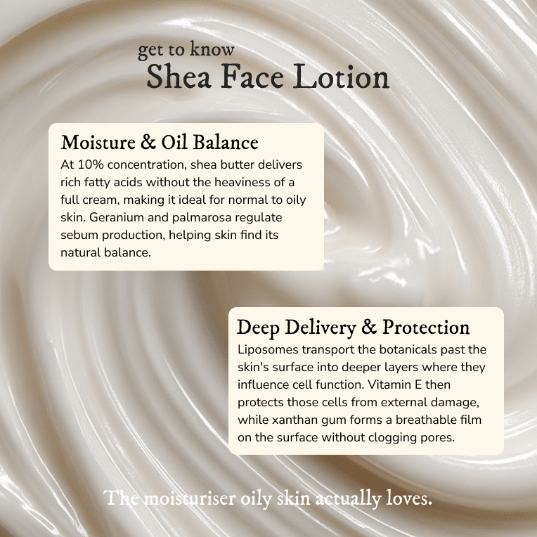 Shea Face Lotion - Face Moisturizer - Cascadia Skincare