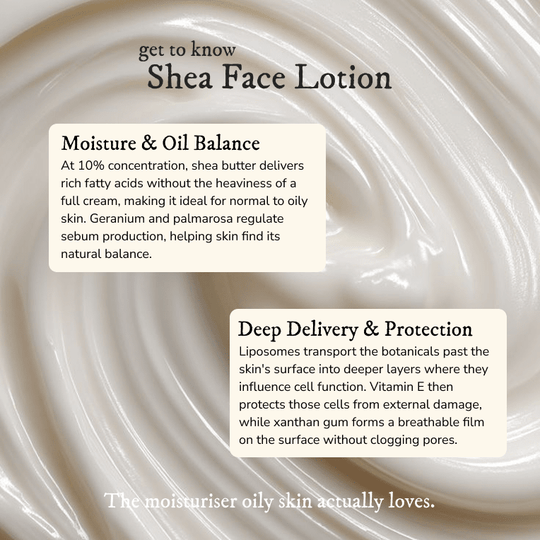 Shea Face Lotion - Face Moisturizer - Cascadia Skincare