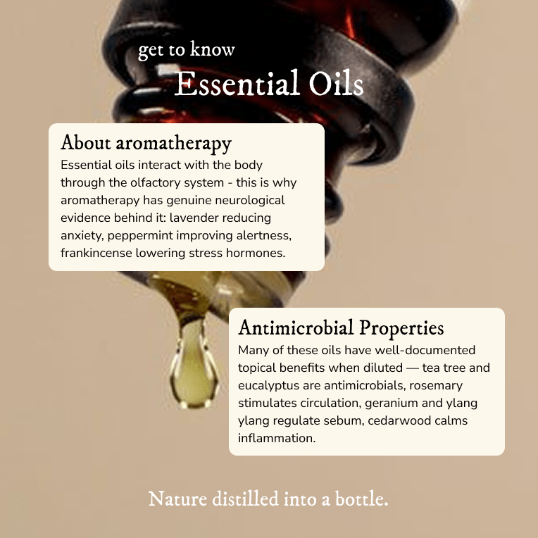 Single Note Essential Oils - Essential Oil - Cascadia Skincare