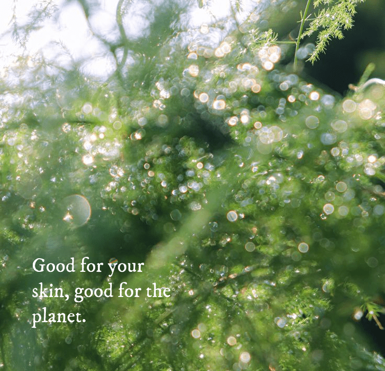 The Green Bar - Cascadia Skincare
