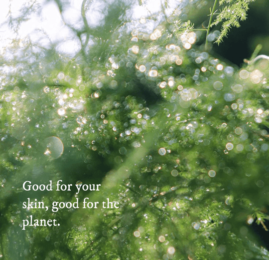 The Green Bar - Cascadia Skincare