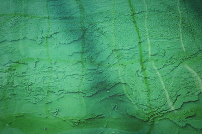 Spirulina Powder